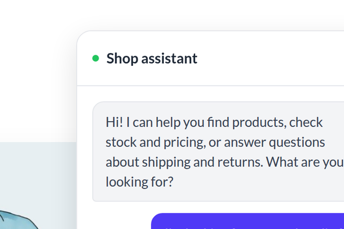 Woo AI Product Recommender chat answering from live stock
